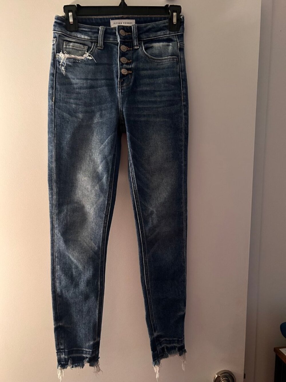 Flying Monkey Distressed Button-Fly Skinny Jeans, Size 24